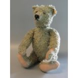 20th century Steiff mohair teddy bear with glass eyes, stitched nose and movable limbs. Appearing