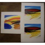 Neil Canning,(British contemporary), three small limited edition screen prints, 'Boarder' (2