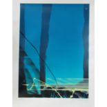 Neil Canning,(British contemporary) a group of unframed screen prints to include 'Voyage I', 'Voyage