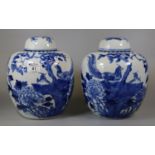 Pair of 19th century Chinese blue and white porcelain large mirror matched ginger jars and covers