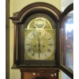 Early 19th century mahogany eight day longcase clock marked John Vise, Wisbech, having a brass