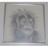 Lisa-Anne Holmes, "Baby Orangutan" , signed, pencil.18x18cm approx. Framed and glazed. (B.P. 21% +