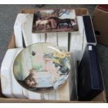 Box of collectors plates to include: Royal Worcester oblong 'Dark Bay and Grey in a Wooded