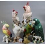 Collection of Continental, mainly Austrian, ceramic studies of cockatoos, together with a