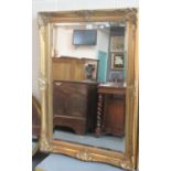 Modern Gilt Frame Bevel Plate Mirror of Rectangular form with Moulded Floral and Foliate