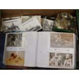 Large collection of postcards and ephemera including dogs, topographical, small tin of coins,