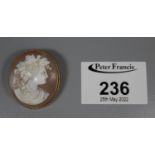 A shell cameo brooch set within a 9ct gold brooch frame with rope twist border. (B.P. 21% + VAT)