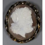 A large shell cameo brooch depicting the profile of a Roman man set in a gilt metal rope work brooch