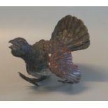 Franz Bergman style cold painted bronze study of a turkey. (B.P. 21% + VAT)