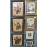 German School, 3 studies of dead game, relief prints. Framed. 35x28cm approx (3) (B.P. 21% + VAT)