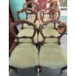 Set of six Victorian walnut balloon-back dining chairs with stuff-over seats on cabriole legs and