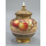 Royal Worcester pot pourri baluster vase and cover and internal lid, with gilt basket weave base and