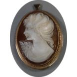 9ct gold oval shell cameo portrait pin brooch/pendant. (B.P. 21% + VAT)