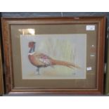 Rita, study of a cock pheasant, pastels. 20 x 29cm approx. Framed and glazed. (B.P. 21% + VAT)