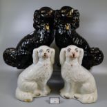 Pair of early 20th Century Staffordshire pottery black and gilded seated fireside spaniels, together