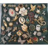 Collection of vintage brooches to include; owls, cameo, floral designs, dragonfly, butterflies