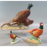 Beswick 2078 pheasant group on naturalistic base, together with a John Beswick study of a pheasant