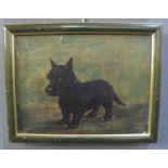 British School (Early 20th century), a portrait of a black 'Scottie' dog, oils on canvas. 22x30cm