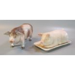 German porcelain model of a wild boar with painted features and blue anchor mark to the underside,