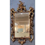 Modern George II style gilt framed pier glass with 'C' scroll foliate frame. 1.10Mx54cm wide approx.