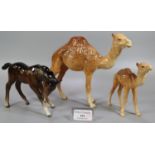 Two Beswick camels and a Beswick foal. (3) (B.P. 21% + VAT)