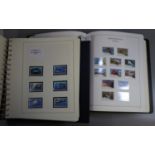 British Indian Ocean Territory collection in two boxed albums. With u/m mint stamps sets and