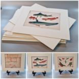 Interesting collection of Chinese rice/pith paper watercolour studies, all in mounts depicting
