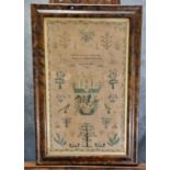 19th Century child's needlework sampler by 'Elizabeth Julian, 1840'. 53 x 32cm approx. In