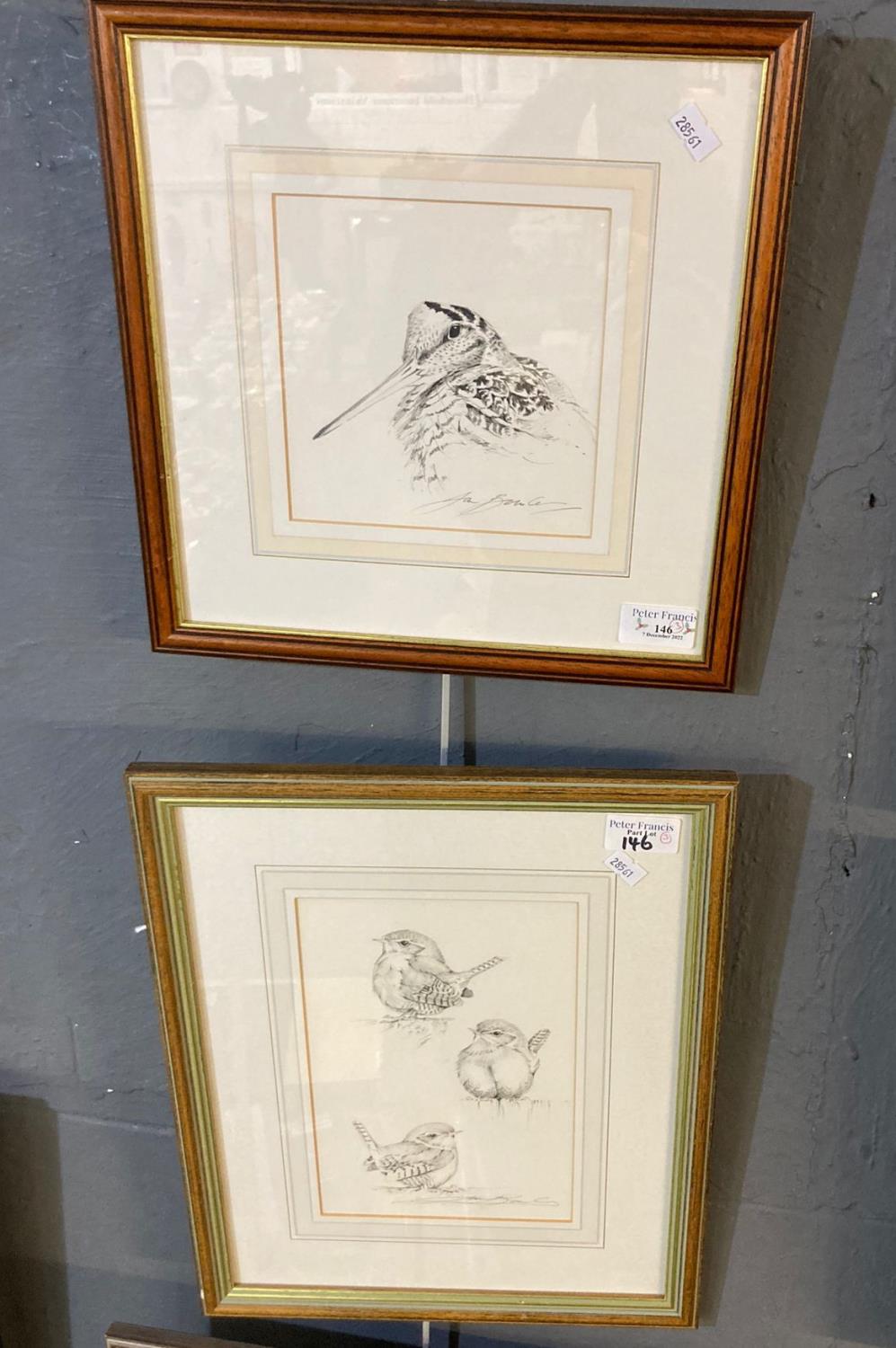 Ian Bowles, Bird studies,two , woodcock and young wrens, signed, pencil sketches. 16 x 15cm and 22 x