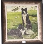 A.Y Bowler, two Welsh Collies in a landscape, signed, oils on board. 48 x 41cm approx. Framed. (B.P.