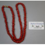 Graduated red coral bead necklace. (B.P. 21% + VAT)
