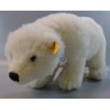 Modern Steiff 'Nanuk', the Steiff Polar Bear, in original box. (B.P. 21% + VAT)
