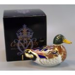 Royal Crown Derby bone china paperweight of a Mallard duck, with gold stopper and original box. (B.