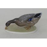 A Rosenthal porcelain figurine of a "duck alone"