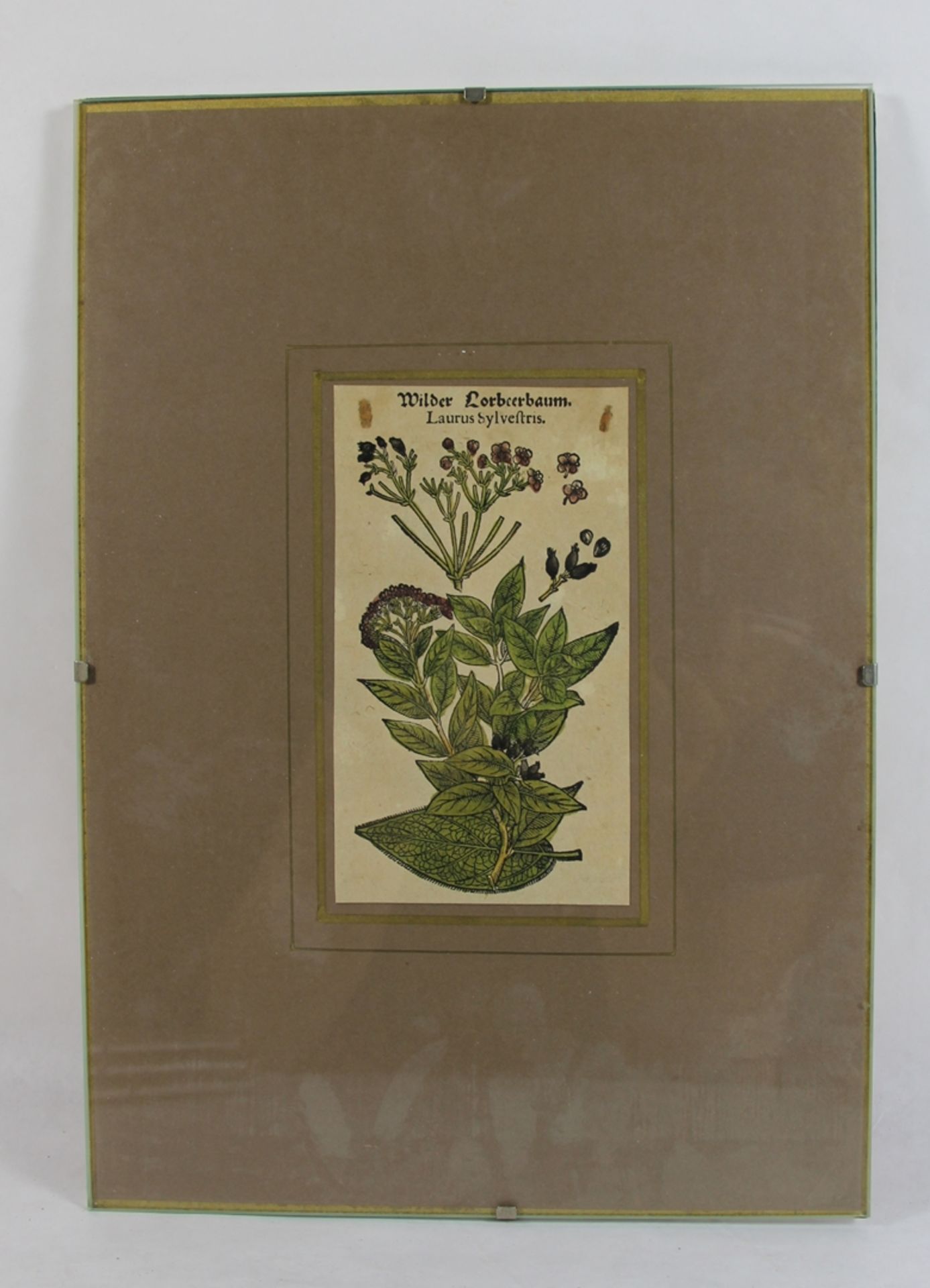 Pflanzen-Holzschnitt - Image 2 of 2