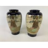 Pair of Chinese Vases