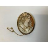 9ct Gold Cameo Brooch