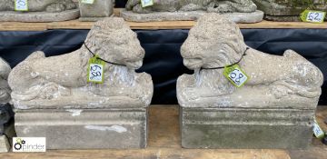 A pair reconstituted stone recumbent Statue of lions, on rectangular plinths, 24in x 26in wide