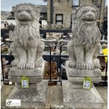 A pair hard carved limestone seated imposing Lions, on plinths, circa 1900s, 36in, base 14in x 14in