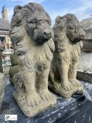 A pair reconstituted stone seated Lions, circa mid to late 1900s, 18in high