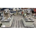 A pair reconstituted stone recumbent Statues of roaring lions, on rectangular plinths, 35in high x