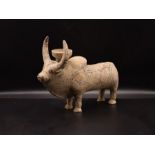 Large Indus Valley Terracotta Bull