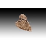 Roman Stone Fragment Depicting Animal