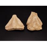 Pair Of Indus Valley Stone Fragments, Depicting Wheat