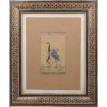 A Mughal Gouache on paper depicting a crane