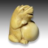 IKKOU: AN IVORY NETSUKE OF A TANUKI, MEIJI PERIOD