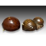 TWO WOOD NETSUKES DEPICTING A SHELL & NUT, MEIJI PERIOD