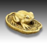 AN IVORY NETSUKE OF A TOAD, MEIJI PERIOD, 19TH CENTURY