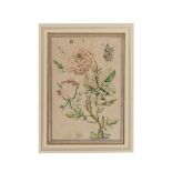 A QAJAR FLORAL MINIATURE, OPAQUE WATERCOLOUR ON PAPER, SIGNED, 19TH CENTURY