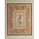 A MUGHAL STYLE PAINTING OF A BIRD, 19TH/20TH CENTURY INDIA